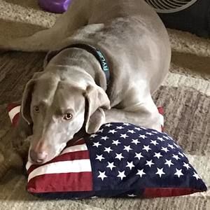 Meet your Posher, Wendy